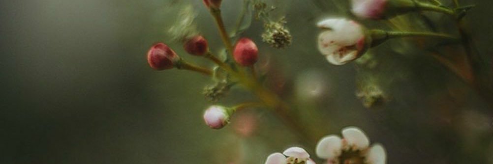 õmran banner