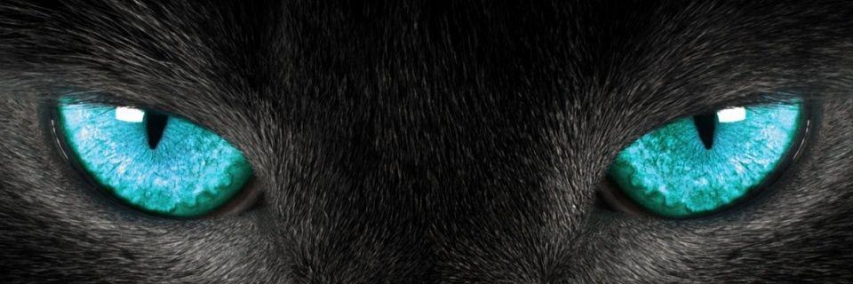 KuroKatzz's profile banner image