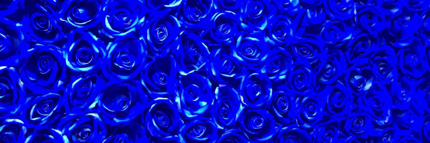 justncredible54's profile banner image