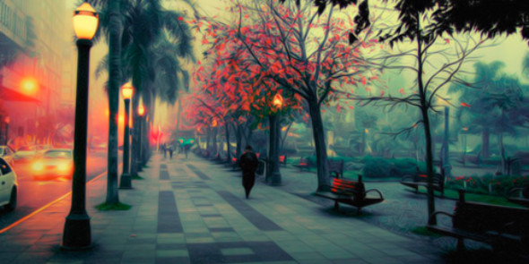 Tini_Vida1's profile banner image