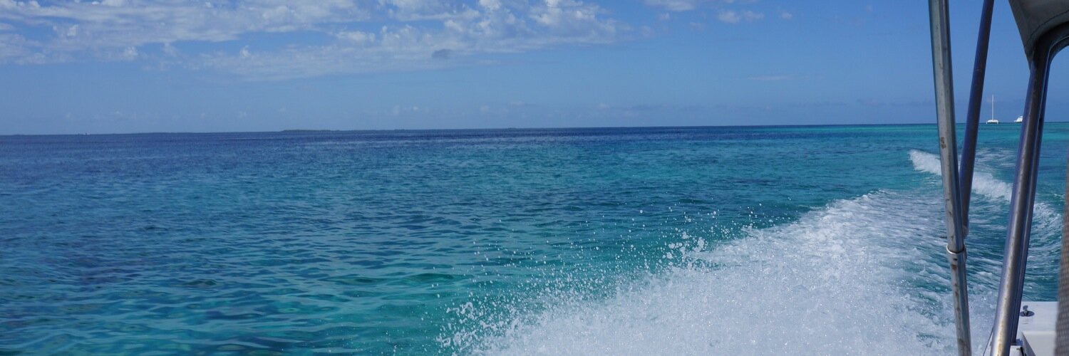 GersonWallauer's profile banner image