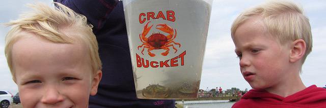 Nigel Bannister banner