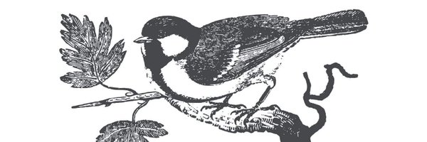 sidewalkpirate Profile Banner