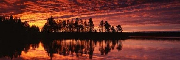 rossing_rossing's profile banner image