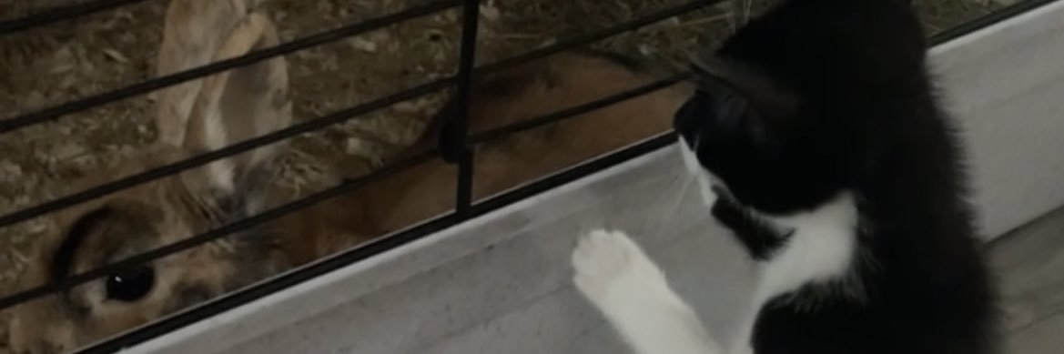 xnatassss's profile banner image