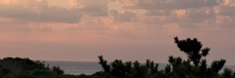Camilanglemey's profile banner image