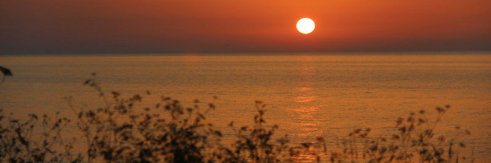 HaticeDursun19's profile banner image