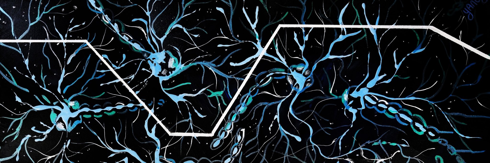 trvlcatz's profile banner image