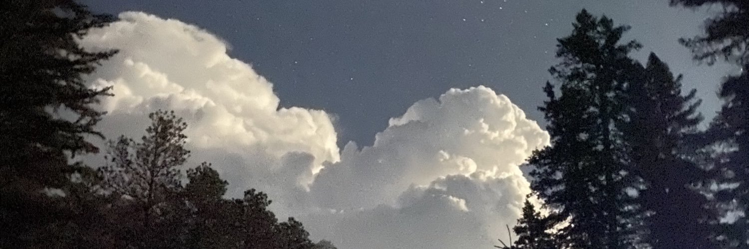 tylersingleton_'s profile banner image