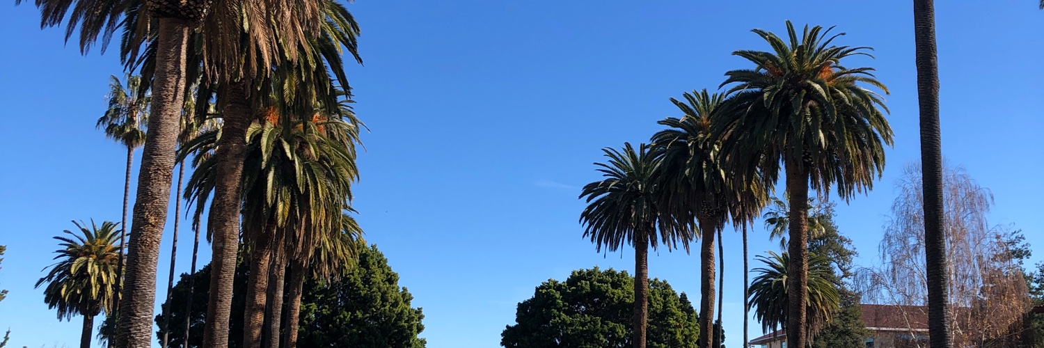 MLarsonSports's profile banner image