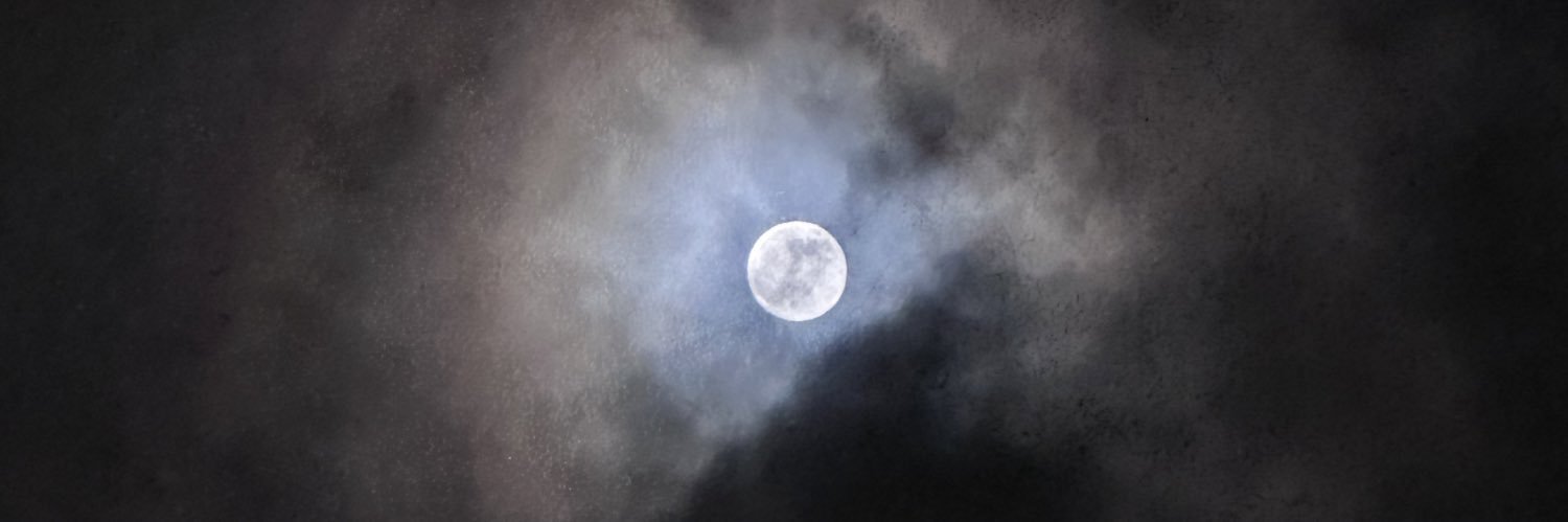 Rebeccaxstyles's profile banner image
