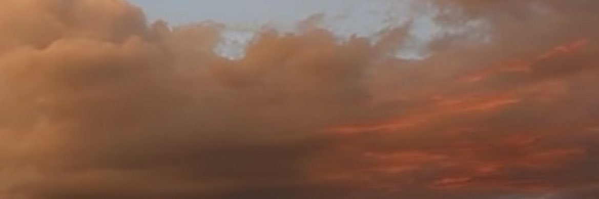 citizenswank's profile banner image