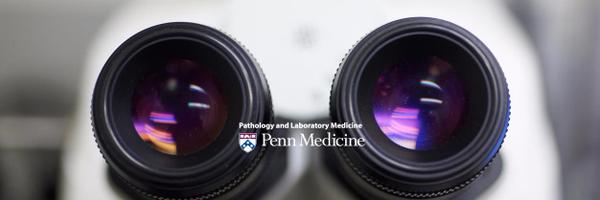Penn Path & Lab Medicine Profile Banner