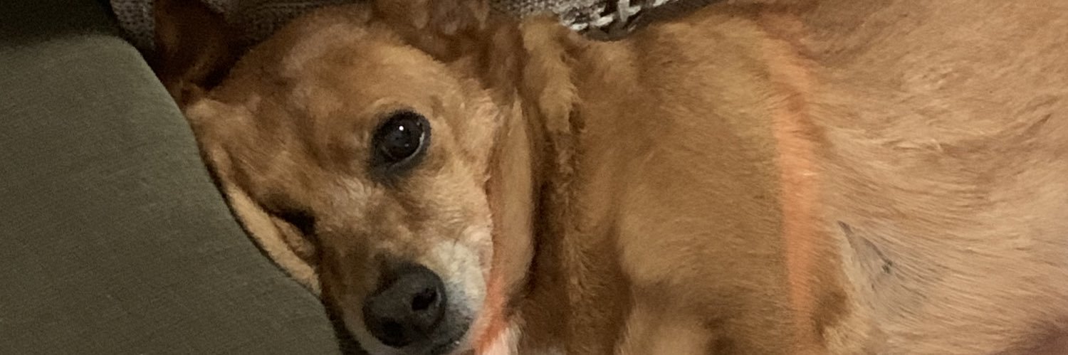 lulusoaresc's profile banner image