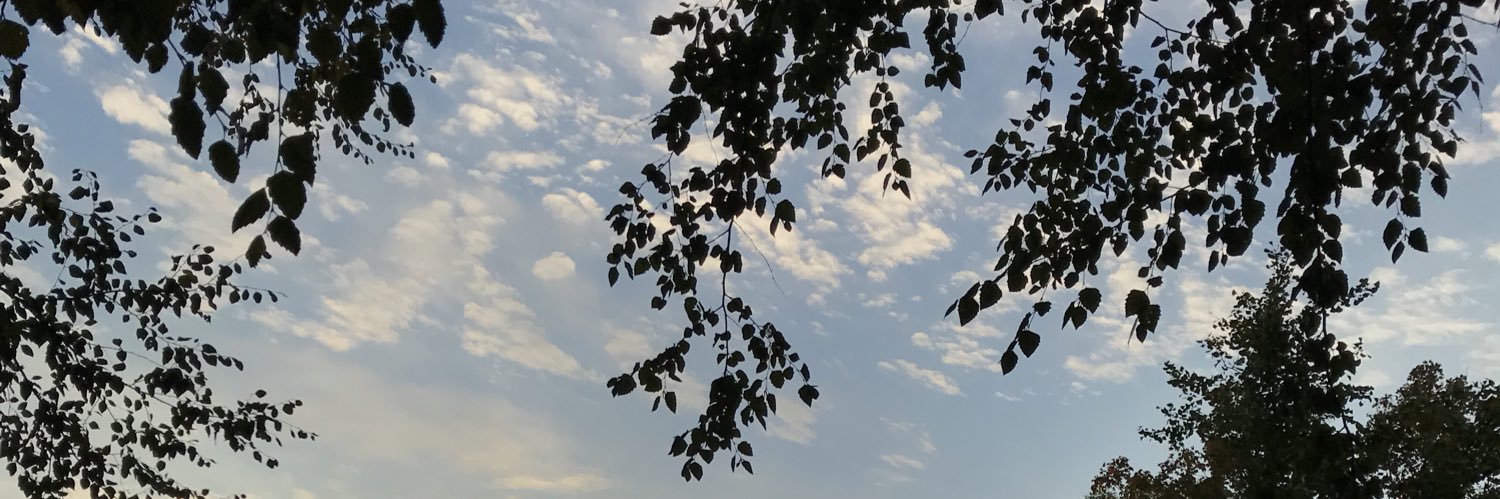 Tarauhll's profile banner image