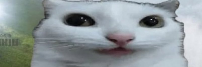 euamopostmalone's profile banner image
