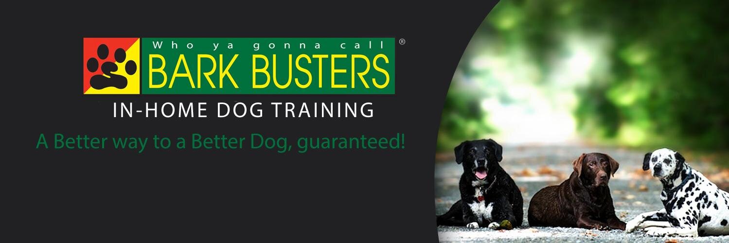 BarkBustersNOnt's profile banner image