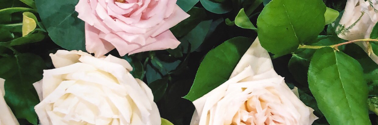 JPOW_'s profile banner image