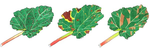 hgpennington Profile Banner