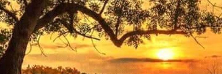 ayadabo4's profile banner image