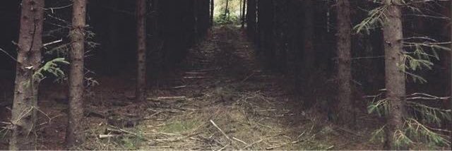 ItsAleeBoo's profile banner image