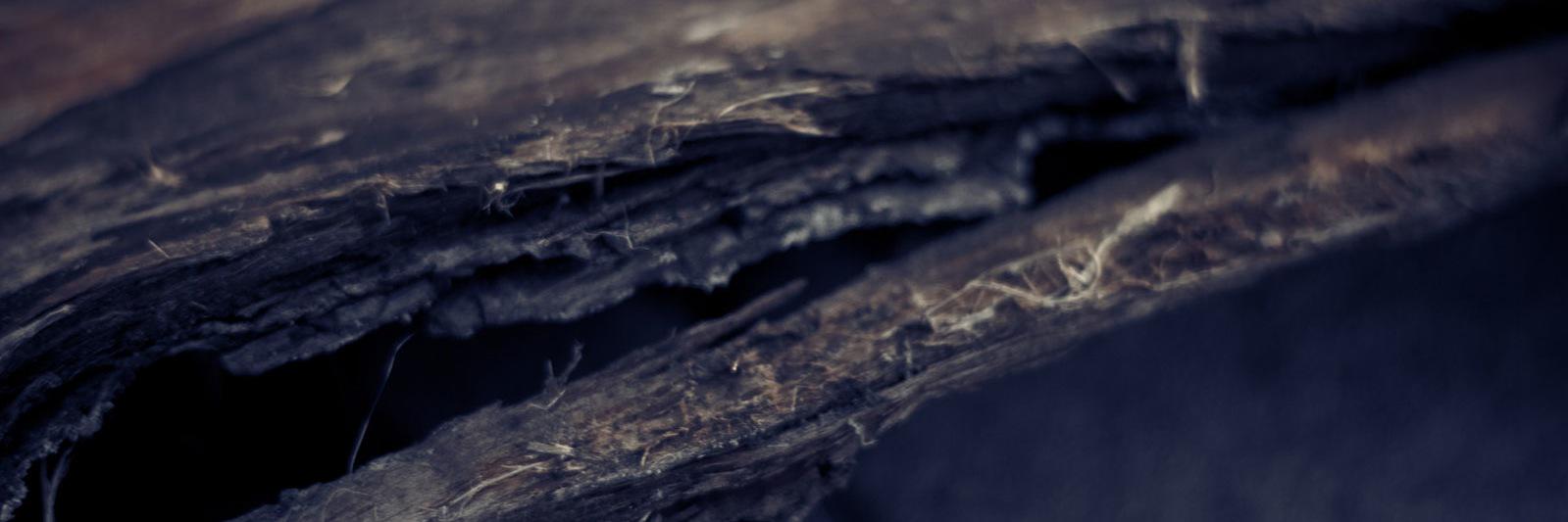 XMPPIoT's profile banner image