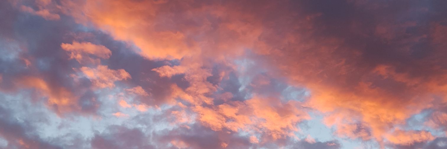 JaneFagan_'s profile banner image