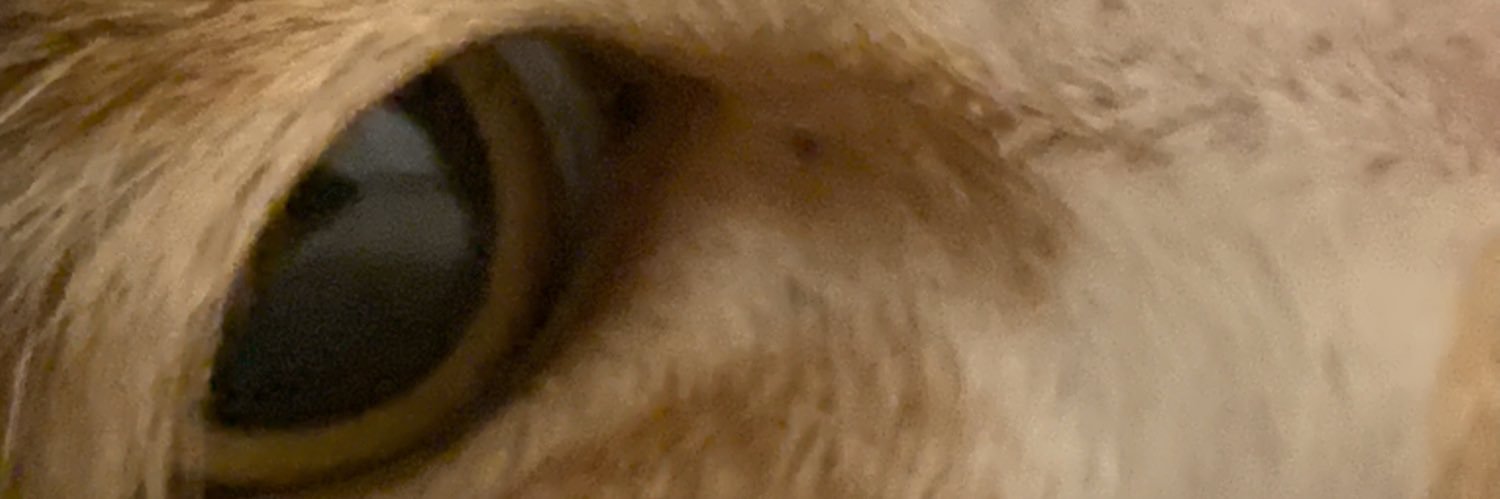 Caleb_Romig's profile banner image