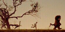 AngyTimottea's profile banner image