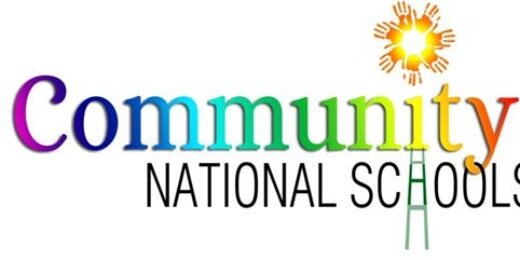 Lucan CNS banner