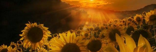kguazzo's profile banner image
