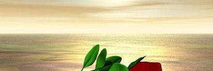 Rodriguez_Yolii's profile banner image
