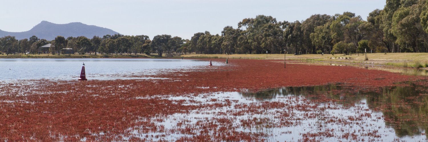 Ararat Advocate banner