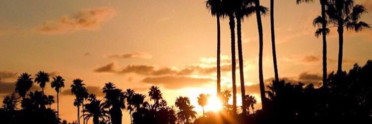 shari_73's profile banner image