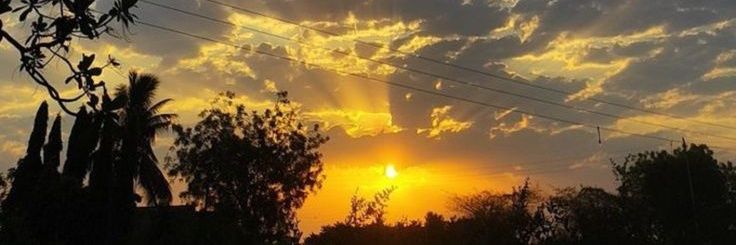 Musky❤️‍🔥 banner