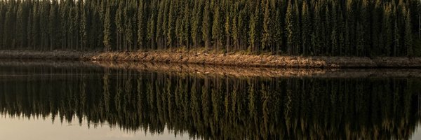 cristianjpena Profile Banner