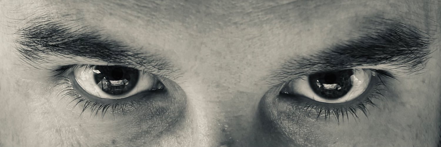 Adam Seeary banner