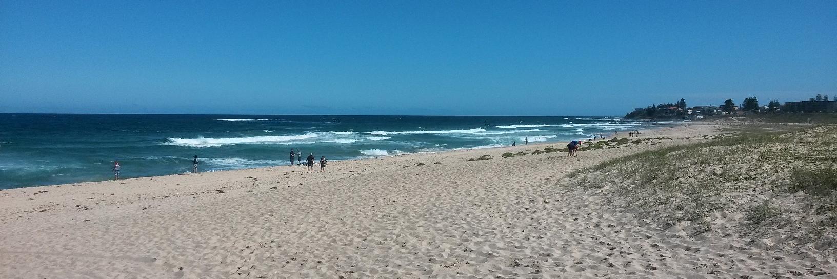 A/Prof Qingwei Luo banner