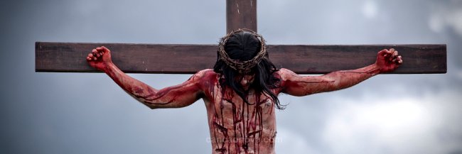 guillermopida's profile banner image