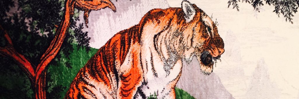 sunnydutchie's profile banner image