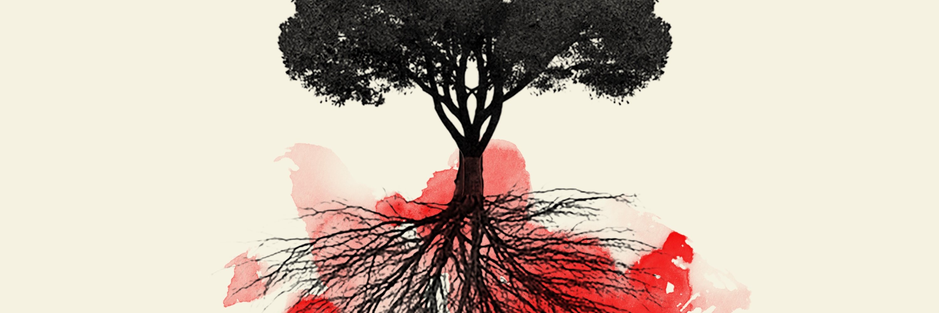 RedTailHawkBand's profile banner image