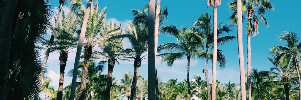 Natallielambert's profile banner image