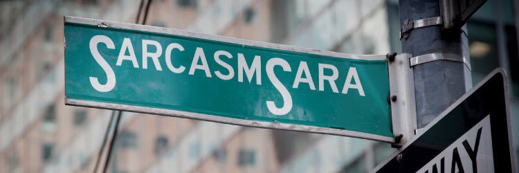 SarcasmSara's profile banner image