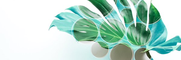 seedmktgstudio Profile Banner