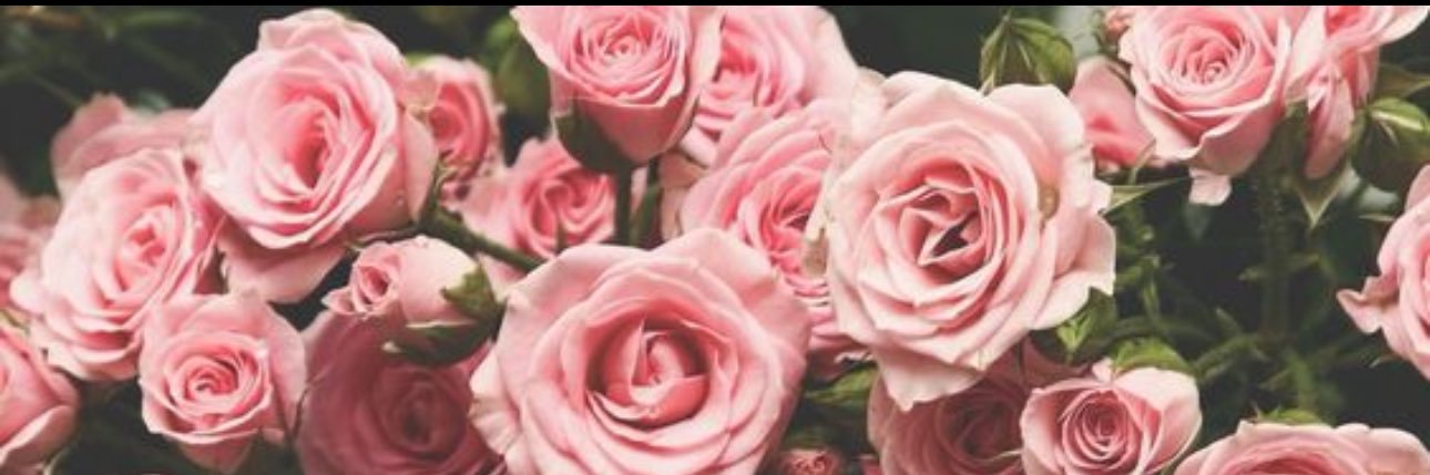 parisofcourse's profile banner image