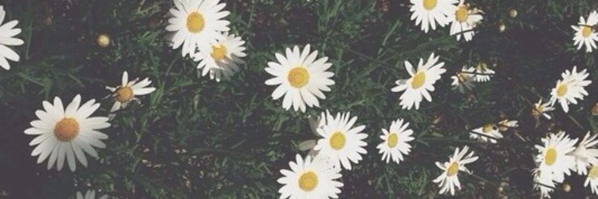 DearKary12's profile banner image