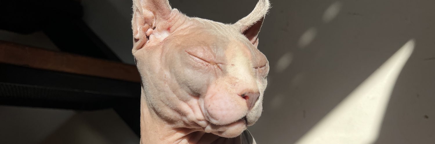 layadesimonee's profile banner image