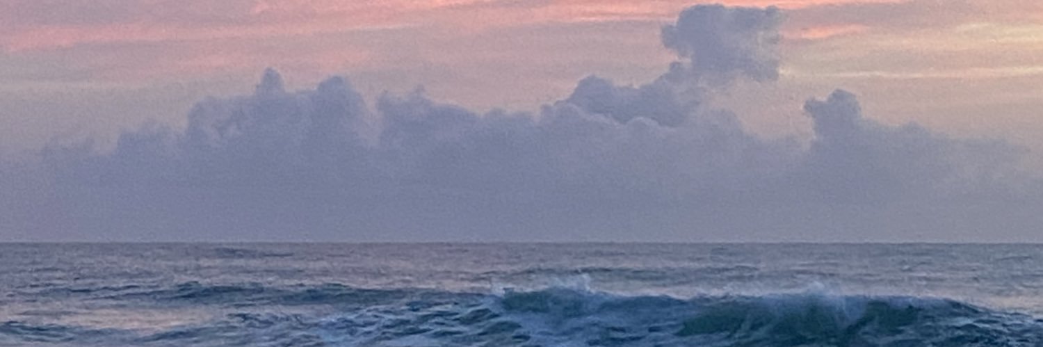 lexirose02's profile banner image