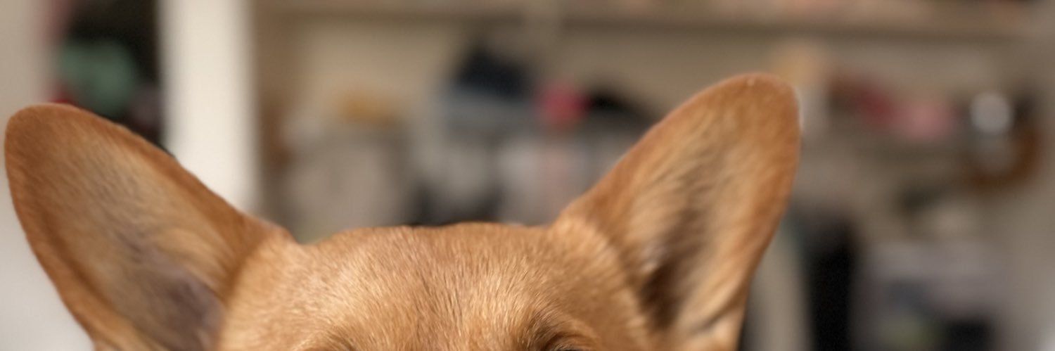 icriedsoymilk's profile banner image