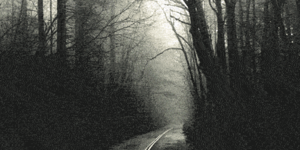 PrivatePoundcak's profile banner image